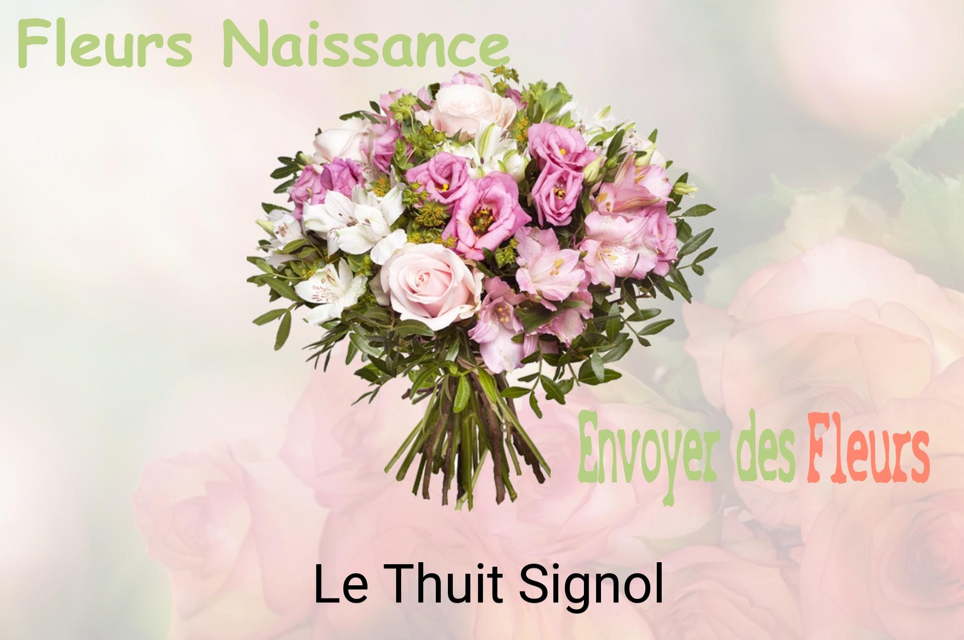Bouquet de fleurs de naissance livré à Le Thuit-Signol