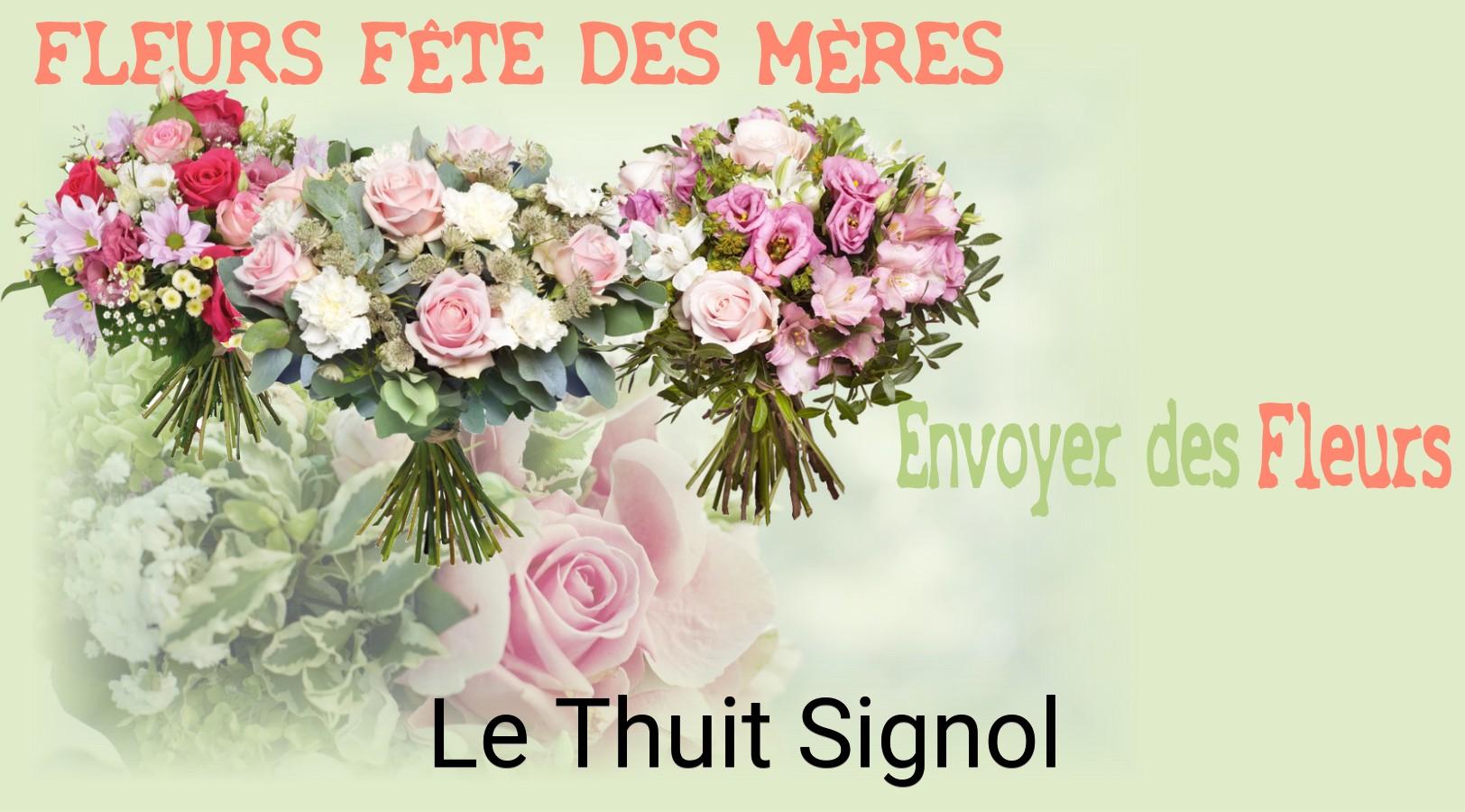 Bouquet de Fête des Mères livré à Le Thuit-Signol